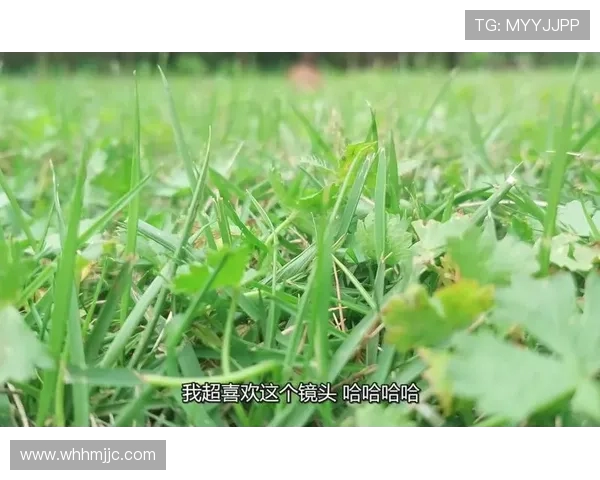 鎬Э鍑虹墖锛氳В閿佸垱鎰忔憚褰辨柊濮垮娍